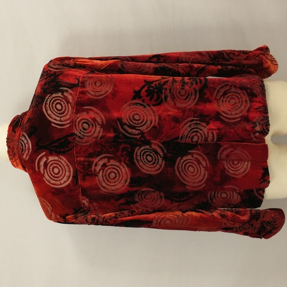 Burnout Velvet Dramatic Blouse Shaket Top Sexy Dark Shimmery Sheer Silk Blend - Picture 4 of 9